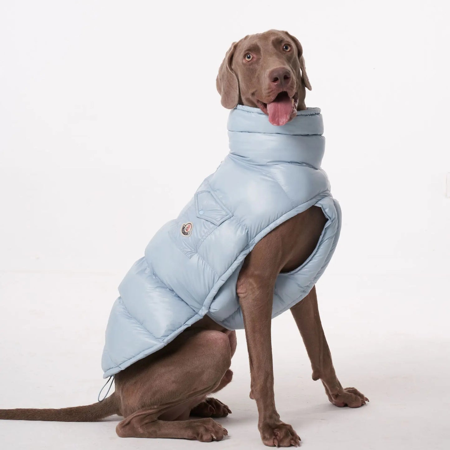 High Collar Dog Down Jacket