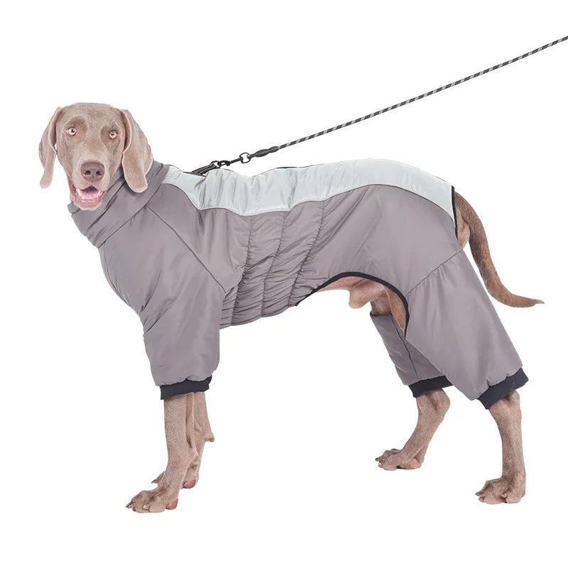 Down Dog Winter Jacket