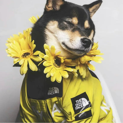 Dog Rain Hoodie Jacket
