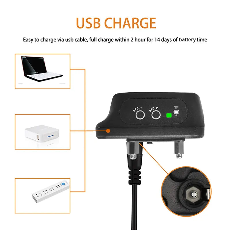 Waterproof Remote Dog Training Collar Vibration & Shock for Large Dogs