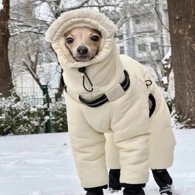 Warm Cotton Dog Jacket