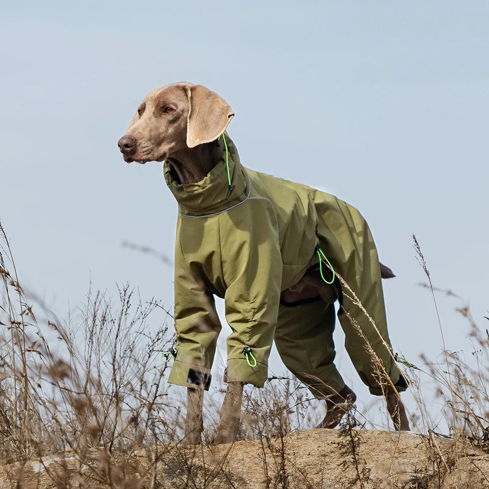 Dog Winter Jumpsuit