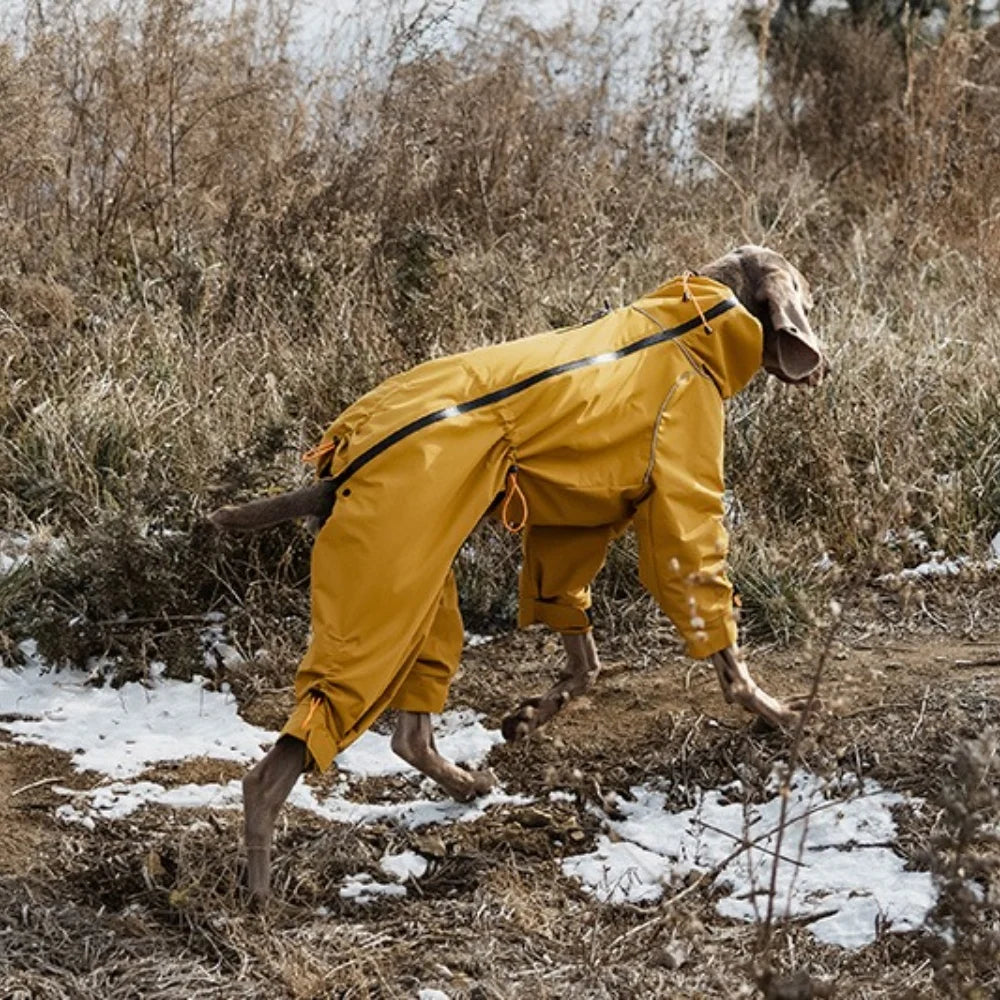 Dog Winter Jumpsuit