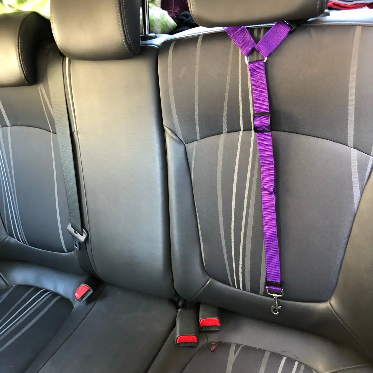 Solid Color Two-in-one Pet Car Seat Belt Nylon Lead Leash Backseat Safety Belt