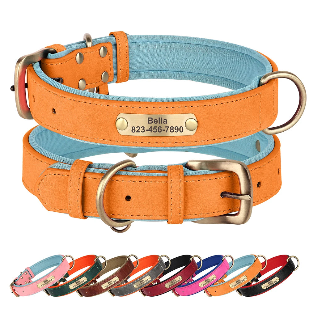 Personalized PU Leather Dog Collar with Engraved ID Nameplate Padded
