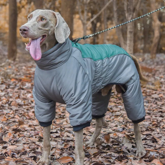 Down Dog Winter Jacket