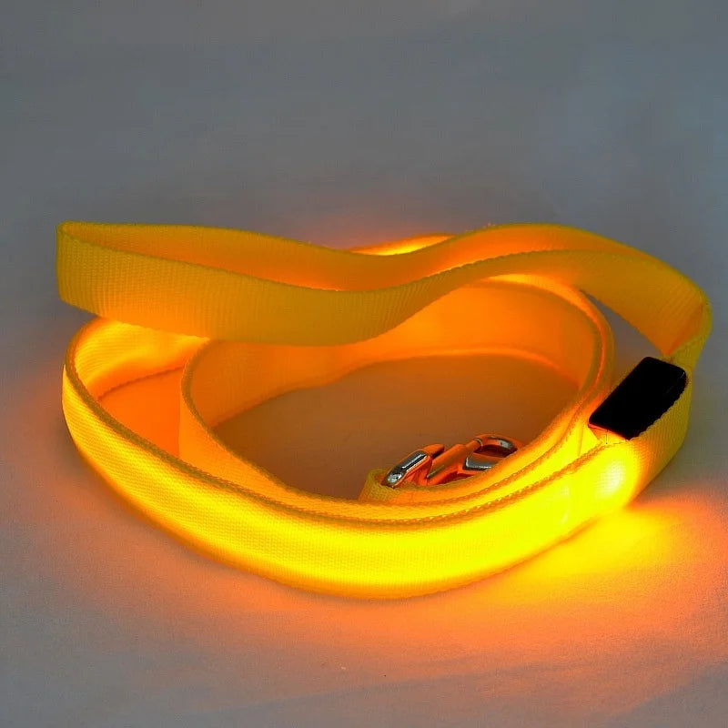 LED Light Up Dog Leash Luminous Rope for Night Safety