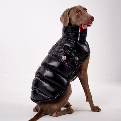 High Collar Dog Down Jacket