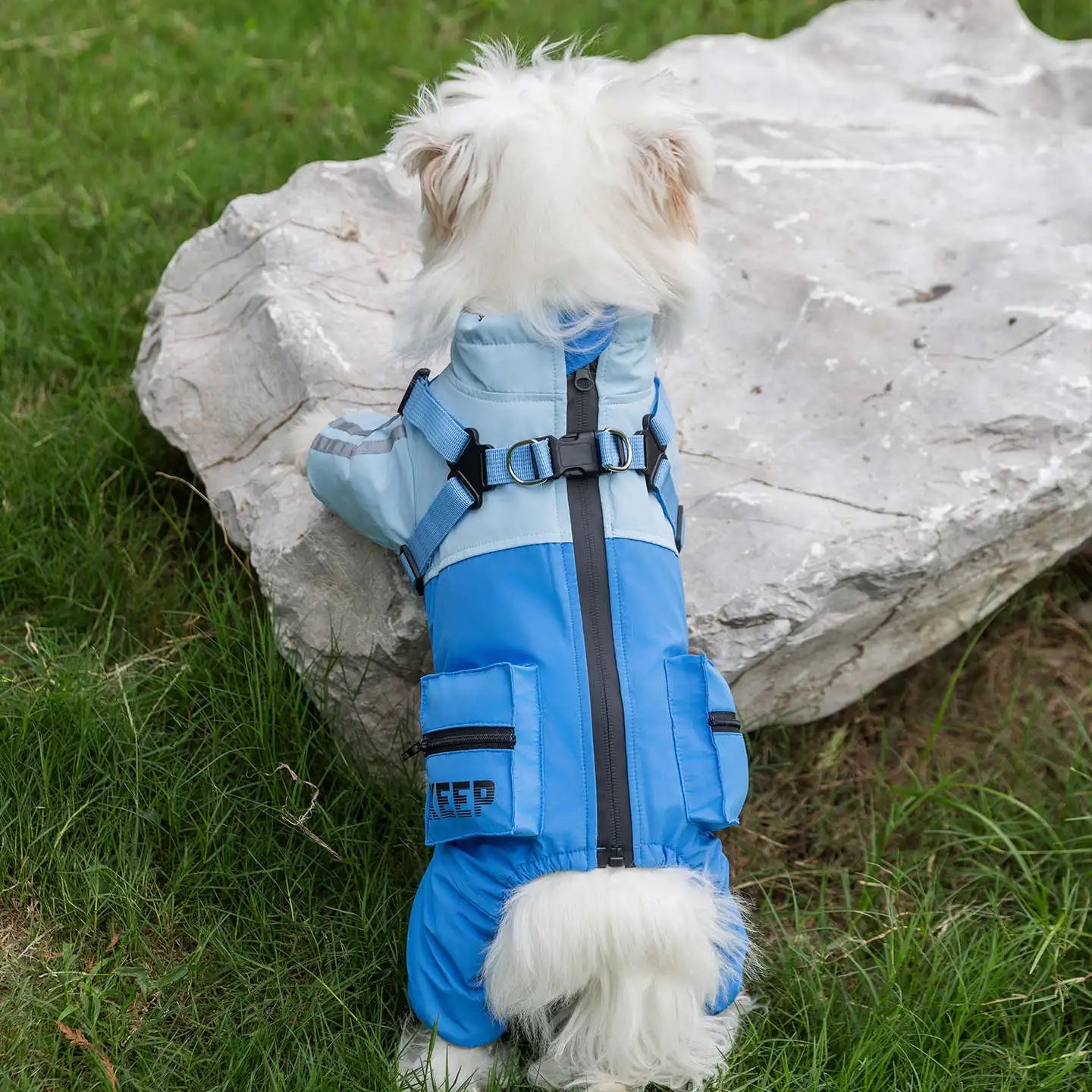 Dog Winter Jumpsuit