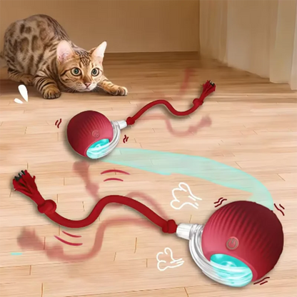 Intelligent Interactive Pet Ball with Obstacle Avoidance for Dogs & Cats