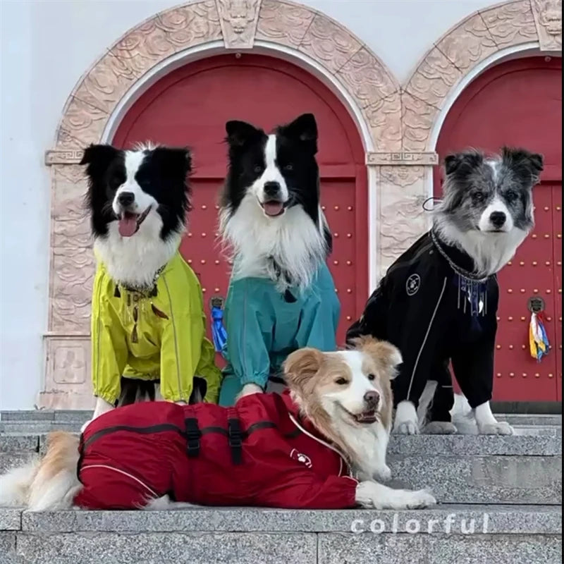 Dog Waterproof Jacket
