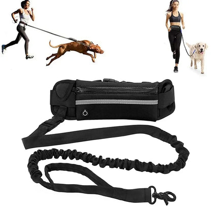 Hands-Free Reflective Dog Leash with Waist Belt and Retractable Elastic