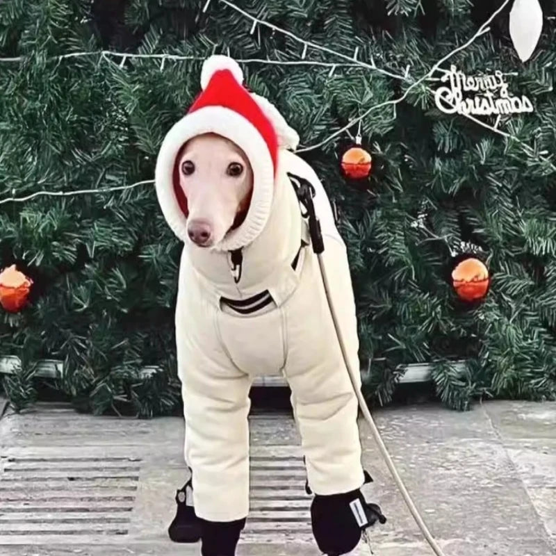 Warm Cotton Dog Jacket