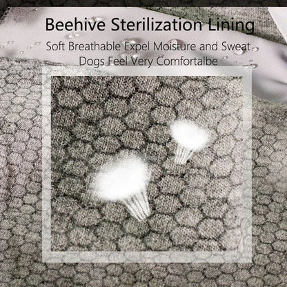 Dog Waterproof Raincoat