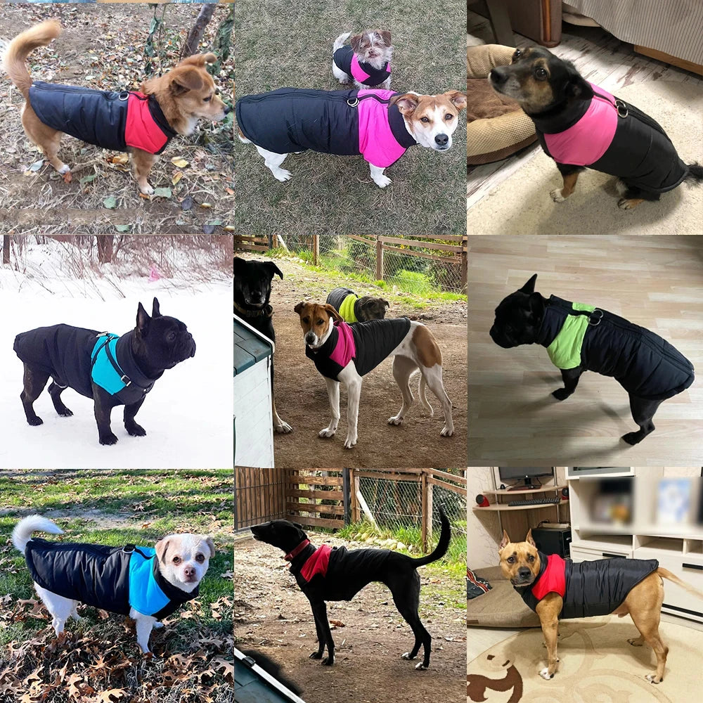 Waterproof Warm Dog Jacket with D-Ring for Small to Large Dogs