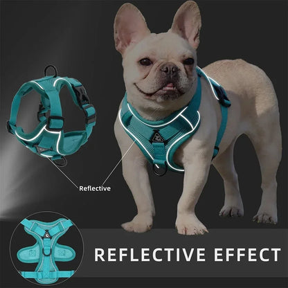 No-Pull Adjustable Dog & Cat Harness with Reflective Leash Set