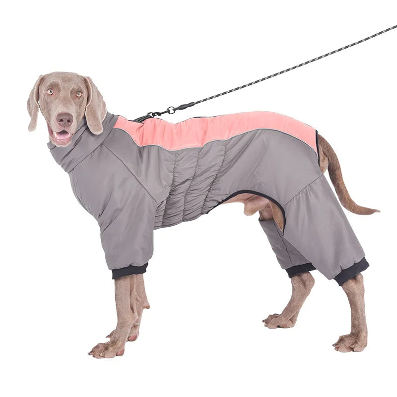Down Dog Winter Jacket