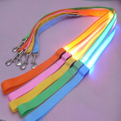 LED Light Up Dog Leash Luminous Rope for Night Safety