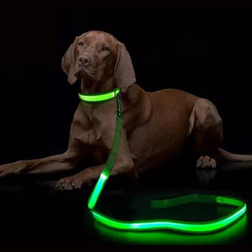 LED Light Up Dog Leash Luminous Rope for Night Safety