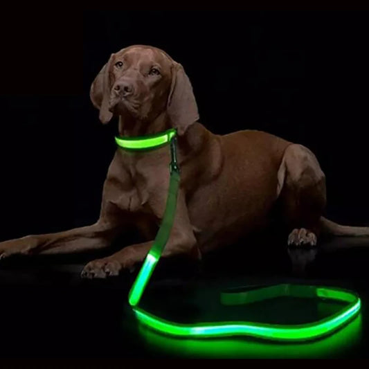 LED Light Up Dog Leash Luminous Rope for Night Safety