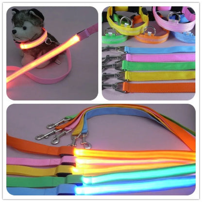 LED Light Up Dog Leash Luminous Rope for Night Safety
