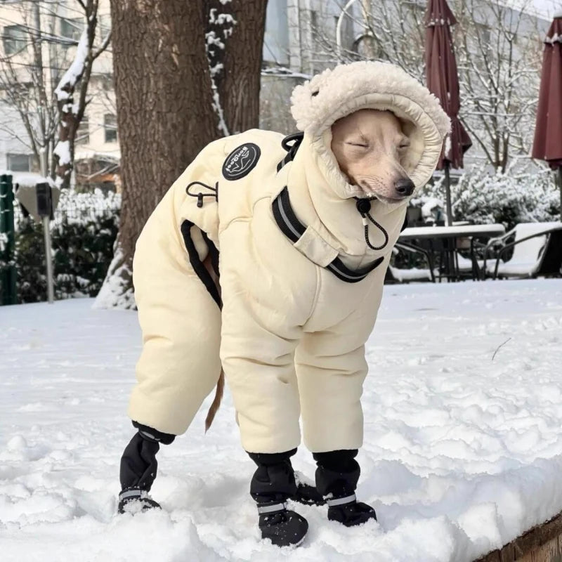 Warm Cotton Dog Jacket