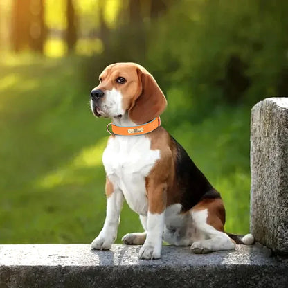 Personalized PU Leather Dog Collar with Engraved ID Nameplate Padded