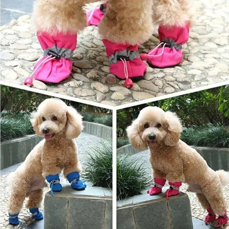 4‑Pack Waterproof Anti‑Slip Dog & Cat Shoes Rain Snow Booties