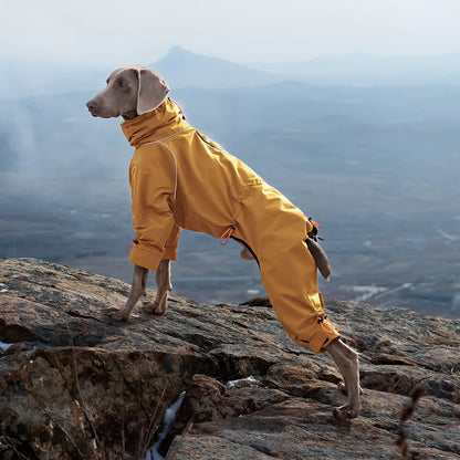 Dog Winter Jumpsuit