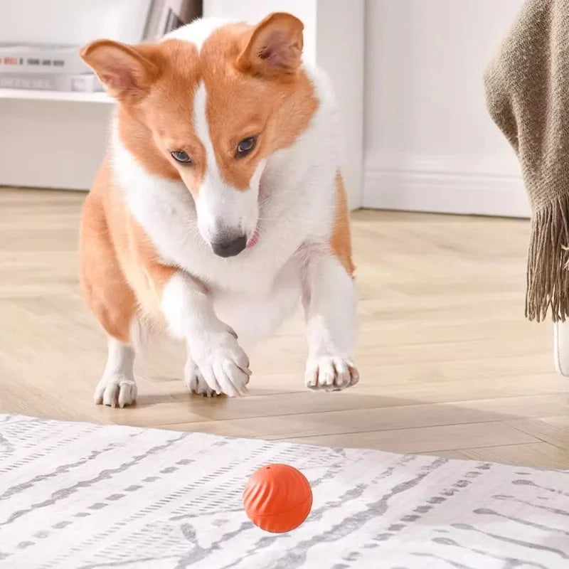 Smart USB Automatic Moving Interactive Dog Toy Ball