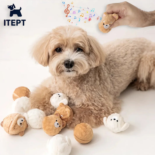 Spiked Squeaky Puppy Ball Toy for Teeth Cleaning & Interactive Play