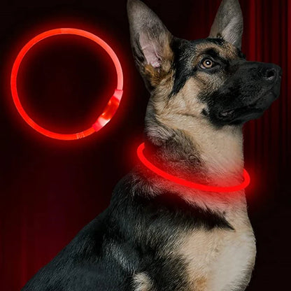 Led Usb Dog Collar Pet Dog Night Luminous Charge