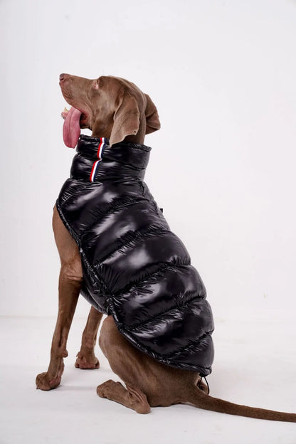 High Collar Dog Down Jacket