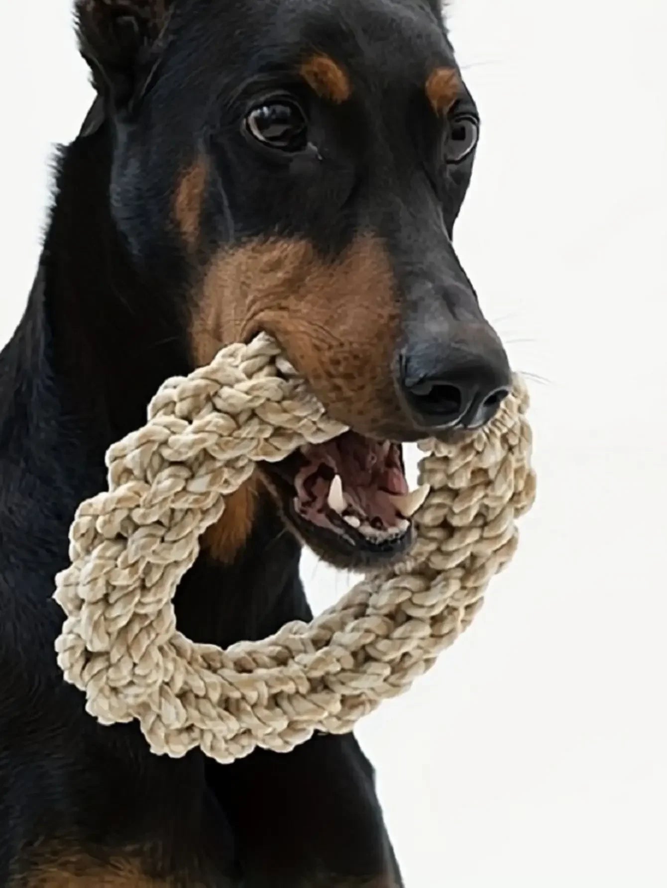Durable Rope Dog Toy Bite‑Resistant Chew Toy for Medium & Large Dogs