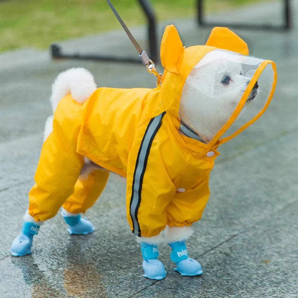 Cute Bear Waterproof Dog Rain Suit