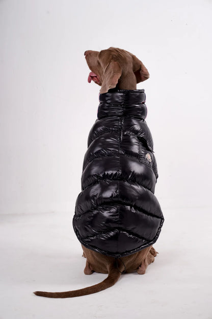 High Collar Dog Down Jacket