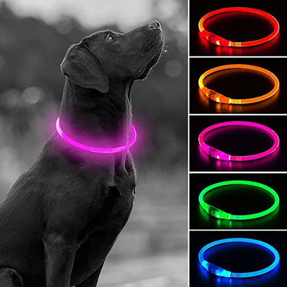 Led Usb Dog Collar Pet Dog Night Luminous Charge