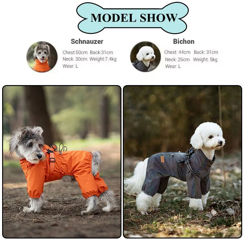 Dog Raincoat with Harness
