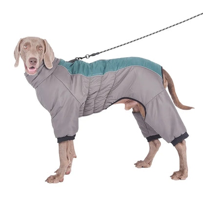 Down Dog Winter Jacket