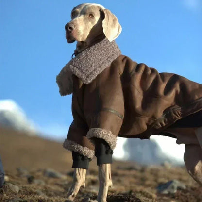 Large Dog Winter Coat