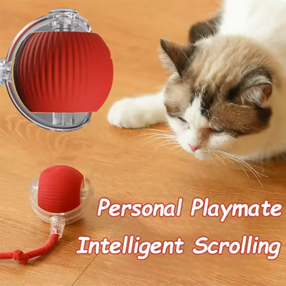 Intelligent Interactive Pet Ball with Obstacle Avoidance for Dogs & Cats