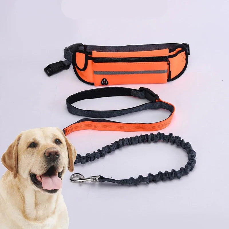 Hands-Free Reflective Dog Leash with Waist Belt and Retractable Elastic