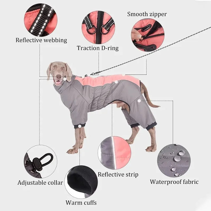 Down Dog Winter Jacket