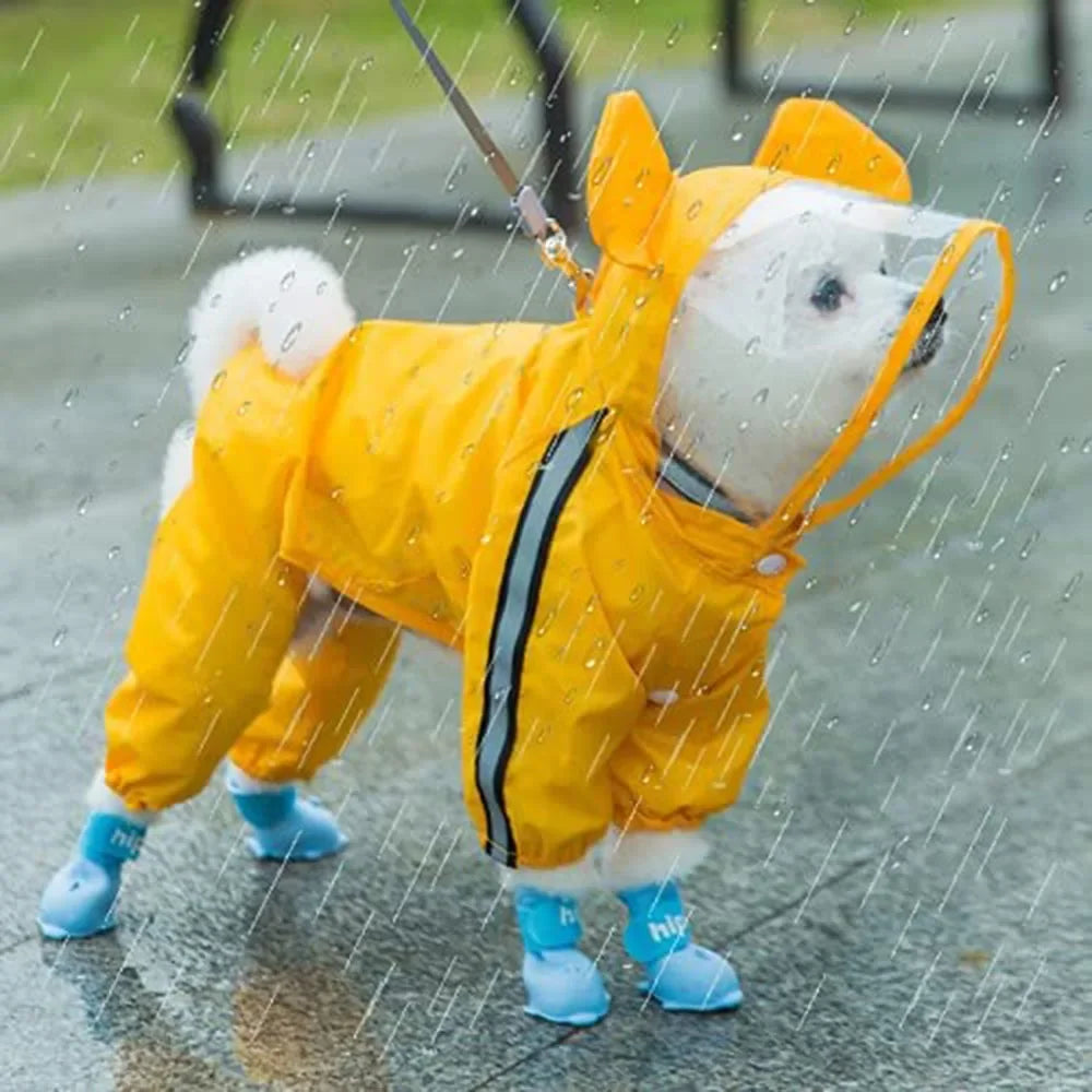 Cute Bear Waterproof Dog Rain Suit