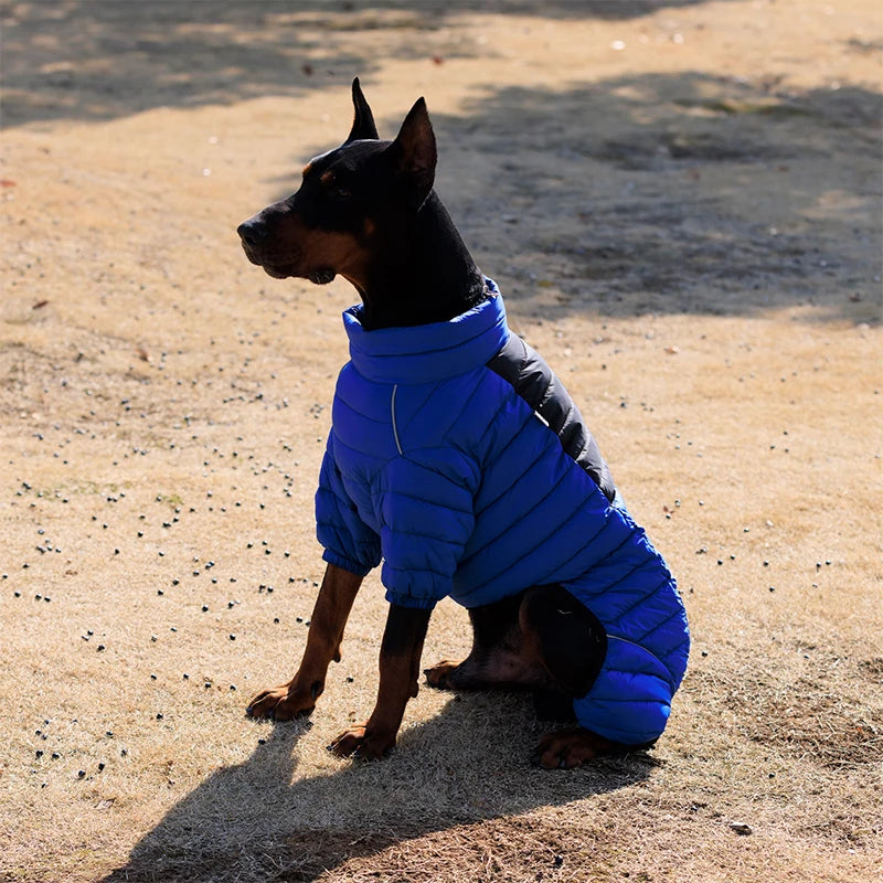 Cotton-Padded Dog Winter Coat