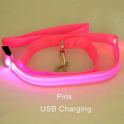 LED Light Up Dog Leash Luminous Rope for Night Safety