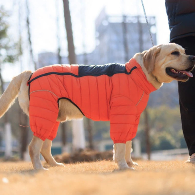 Cotton-Padded Dog Winter Coat