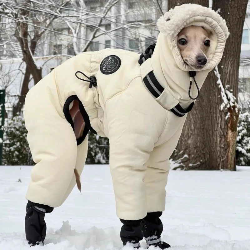 Warm Cotton Dog Jacket
