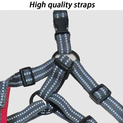 Dog Winter Long Boots