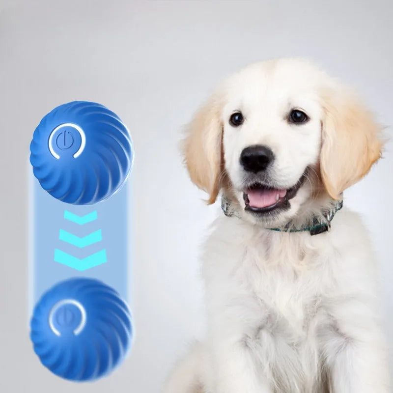 Smart USB Automatic Moving Interactive Dog Toy Ball